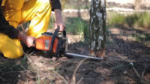 Best Lawn Maintenance Plans  in Rice, TX