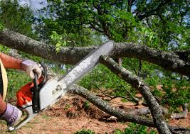 How Our Tree Care Process Works  in  Rice, TX