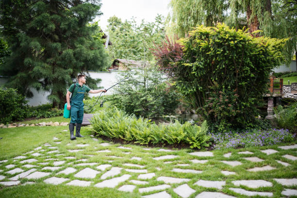 Best Tree Mulching  in Rice, TX